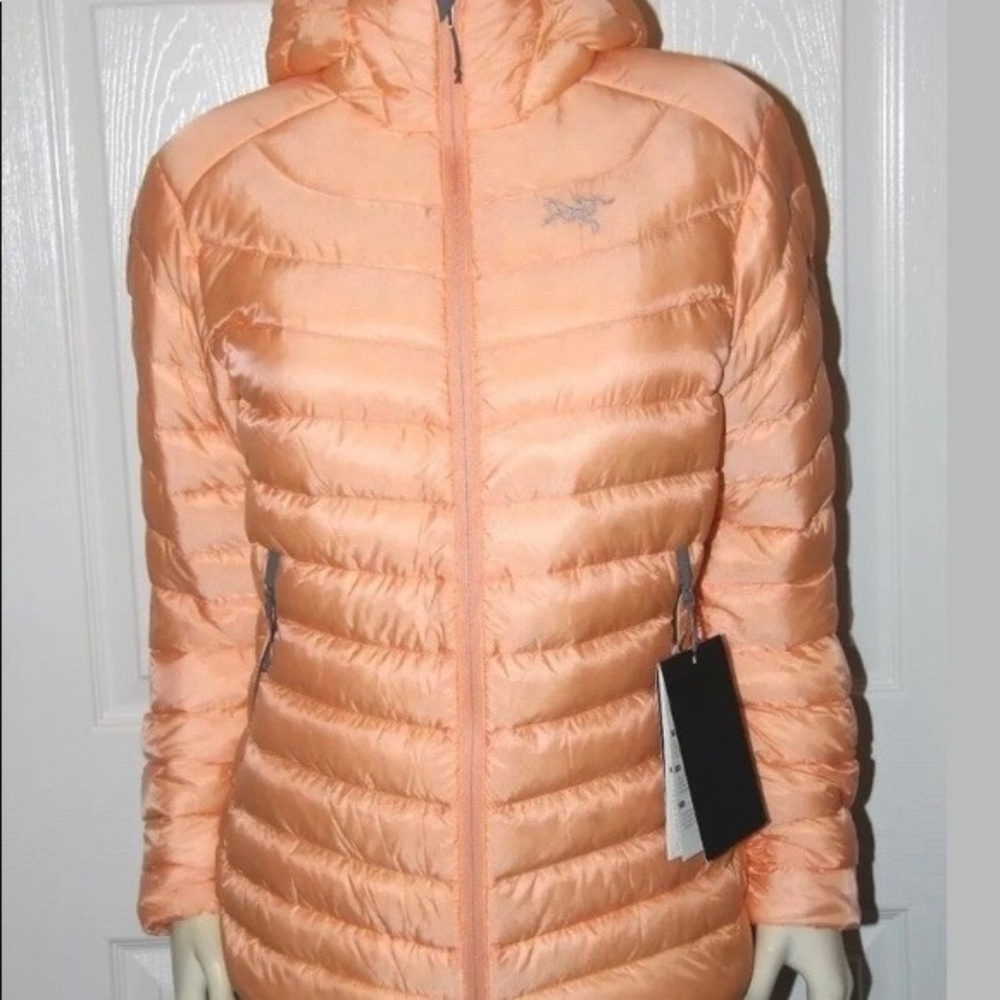 Brand New Arc'teryx Down Jacket